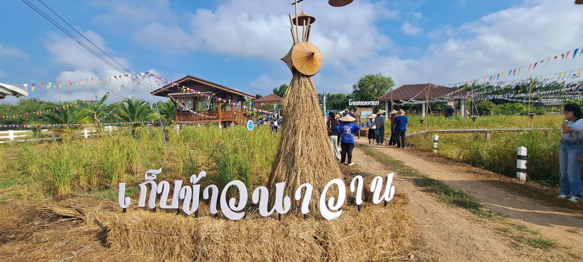 ร่วมสืบสาน รักษา วัฒนธรรมพื้นถิ่น ในกิจกรรม "เก็บข้าวนาวาน"